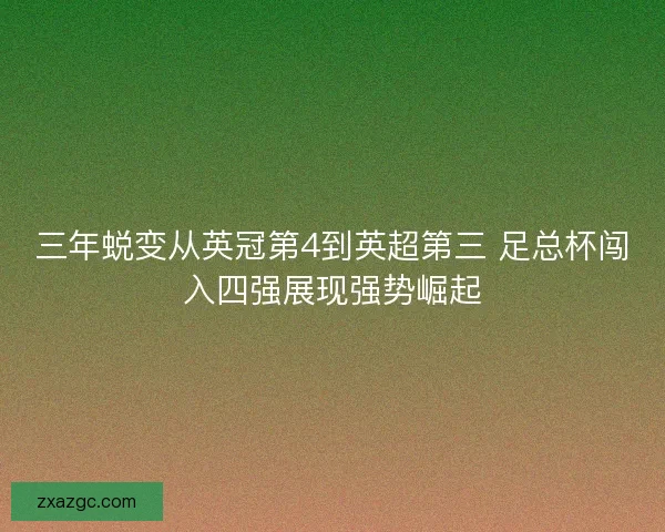 三年蜕变从英冠第4到英超第三 足总杯闯入四强展现强势崛起