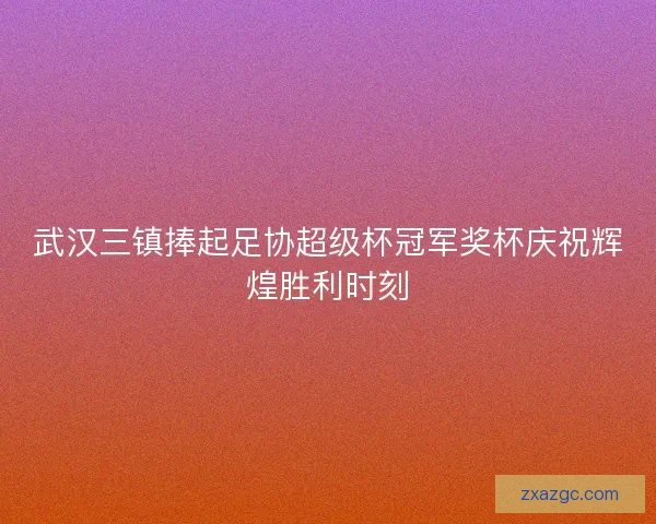 武汉三镇捧起足协超级杯冠军奖杯庆祝辉煌胜利时刻