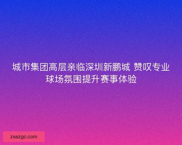 城市集团高层亲临深圳新鹏城 赞叹专业球场氛围提升赛事体验