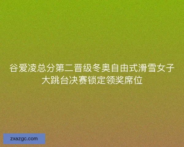 谷爱凌总分第二晋级冬奥自由式滑雪女子大跳台决赛锁定领奖席位 谷爱凌总分第二晋级冬奥自由式滑雪女子大跳台决赛锁定领奖席位