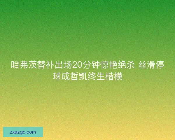 哈弗茨替补出场20分钟惊艳绝杀 丝滑停球成哲凯终生楷模